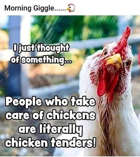 chicken tenders.jpg
